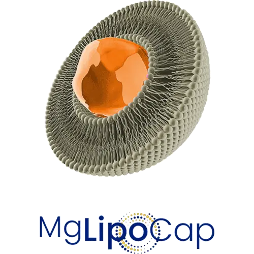 MgLipoCap (as Magnesium Oxide)