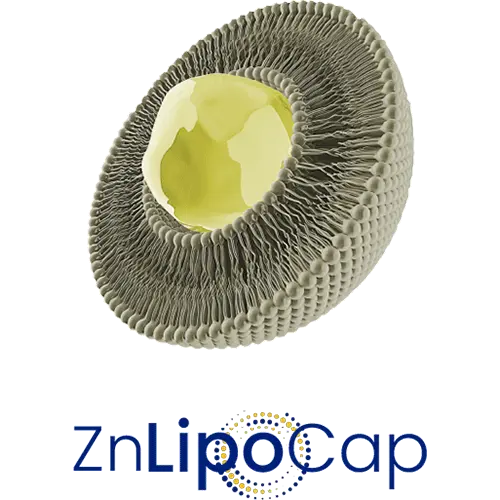 ZnLipoCap (as Zinc Sulfate)