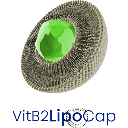 VitB2LipoCap (as Riboflavine Phosphate Sodium)